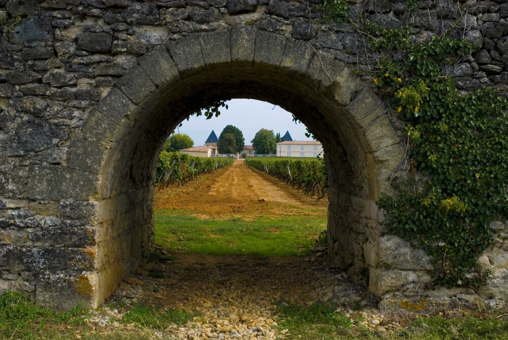 Talking wine with&nbsp;J&eacute;r&ocirc;me Moitry, CEO von Ch&acirc;teau Climens